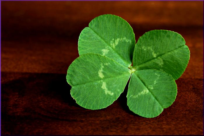 Entrepreneurs Downplay Role of Luck In Their Success