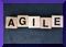 Is Agile Scrum Methodology Right for Your Business?