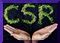 Why You Shouldn't Jump on the CSR Bandwagon